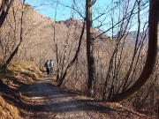 08 Sulla strada agrosilvopastorale...